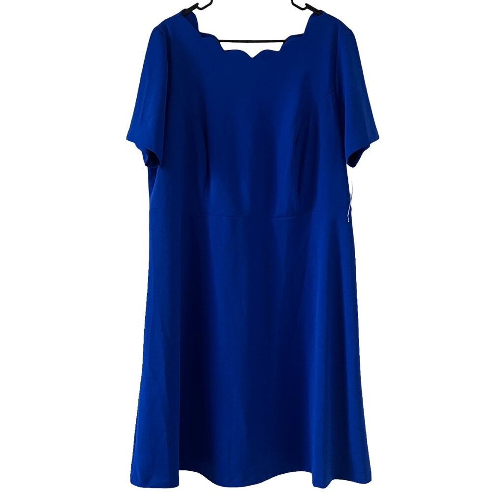 Glamour Scalloped Neckline Dress